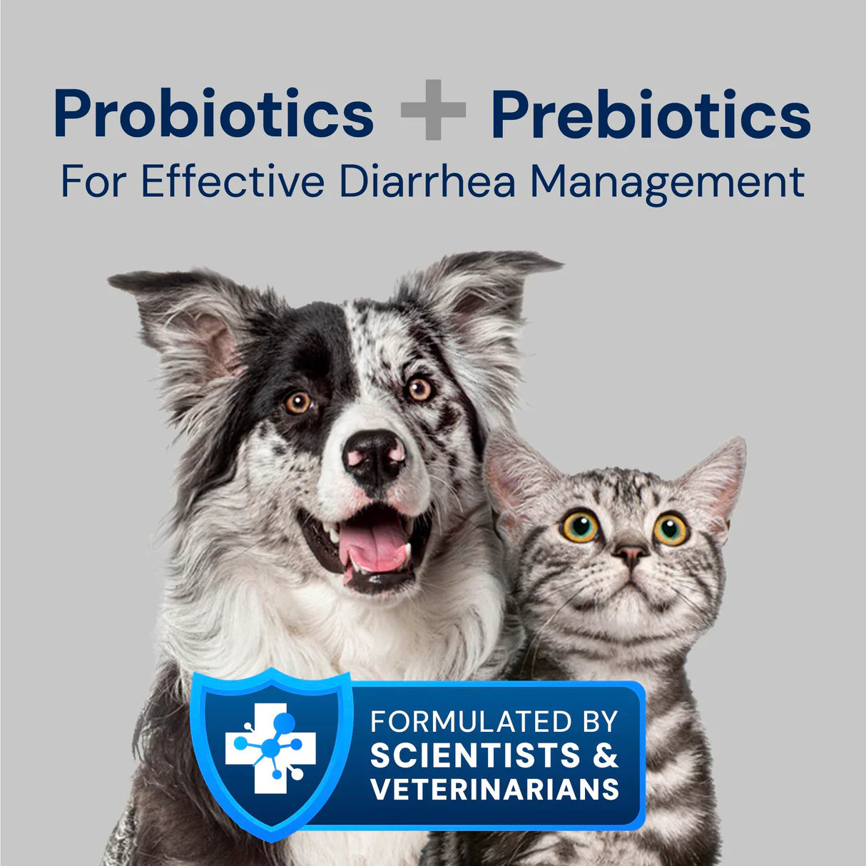 KittyBiome S. boulardii + FOS Powder