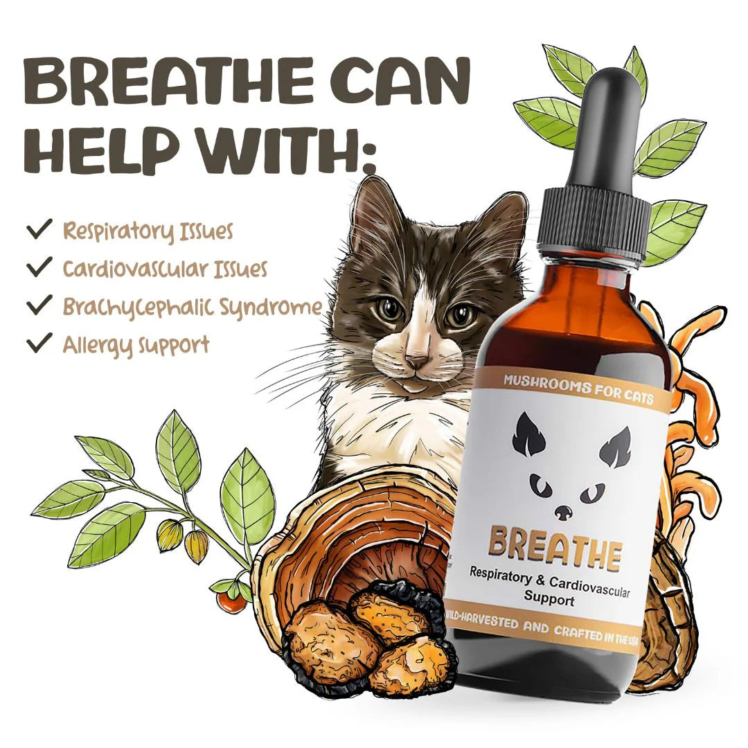 MycoCat Breathe
