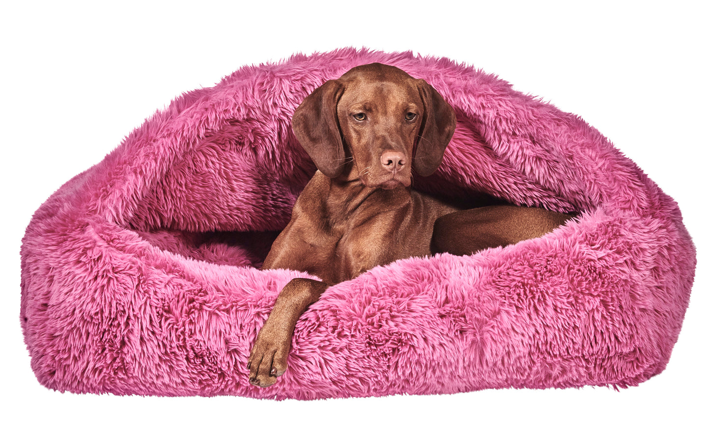Canopy Cozy Cat Bed