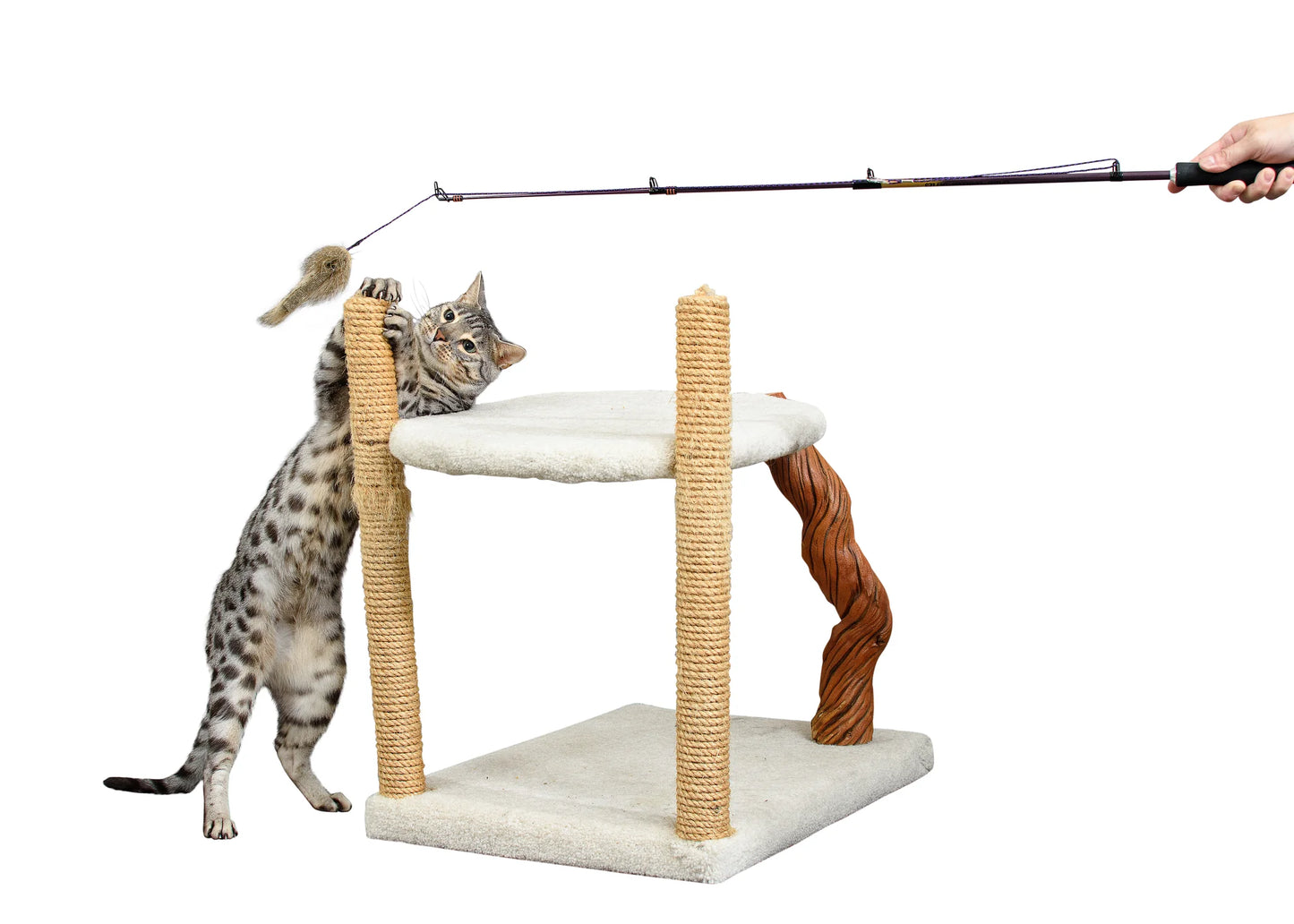 Brawny Mouse Attachment