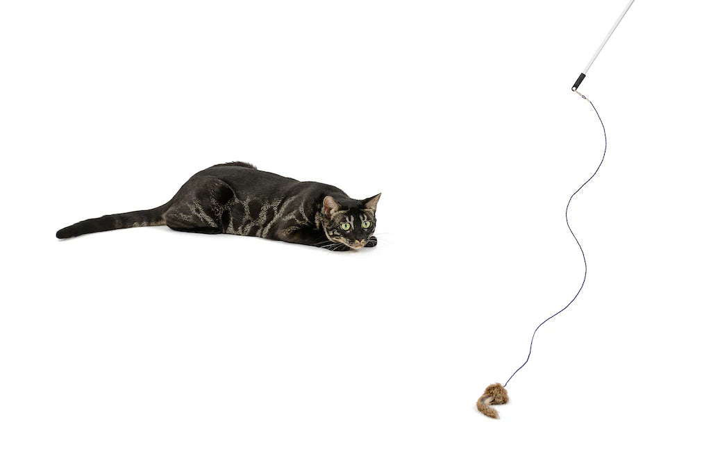 Brawny Mouse Attachment
