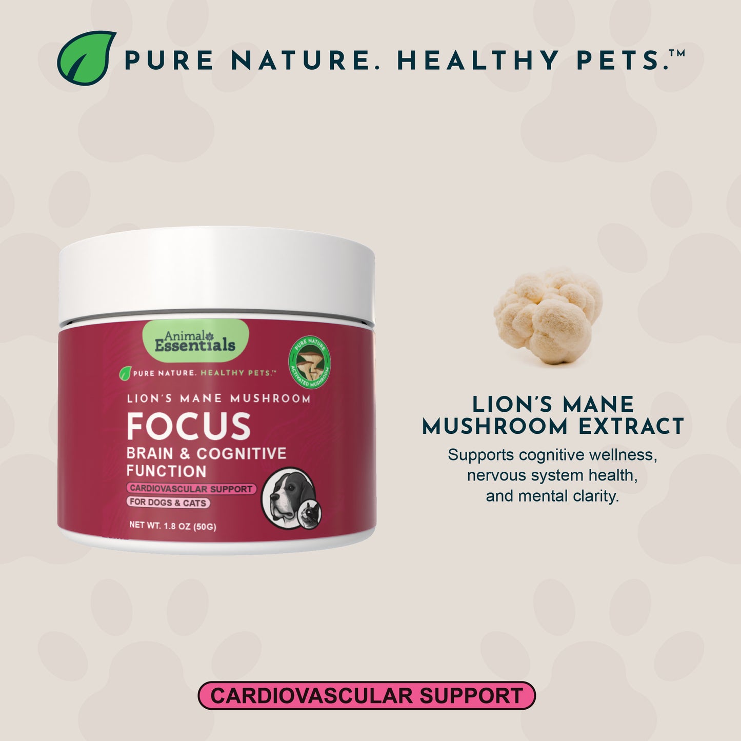 Lion's Mane Mushroom for Dogs & Cats