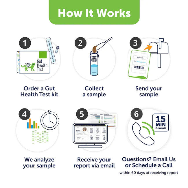 KittyBiome Gut Health Test