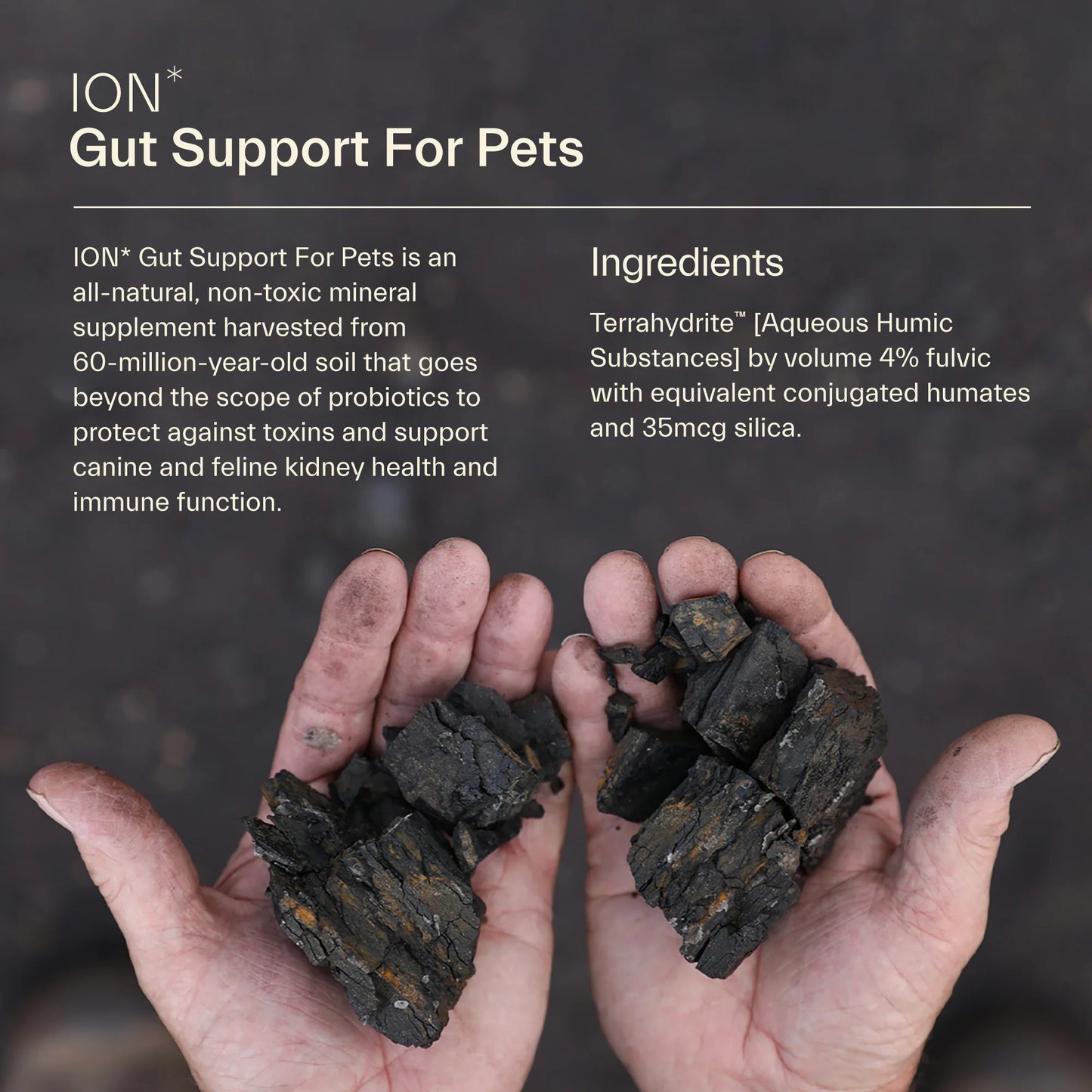 ION Gut Support For Pets
