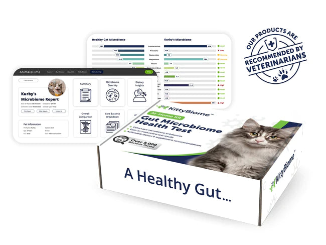 KittyBiome Gut Health Test