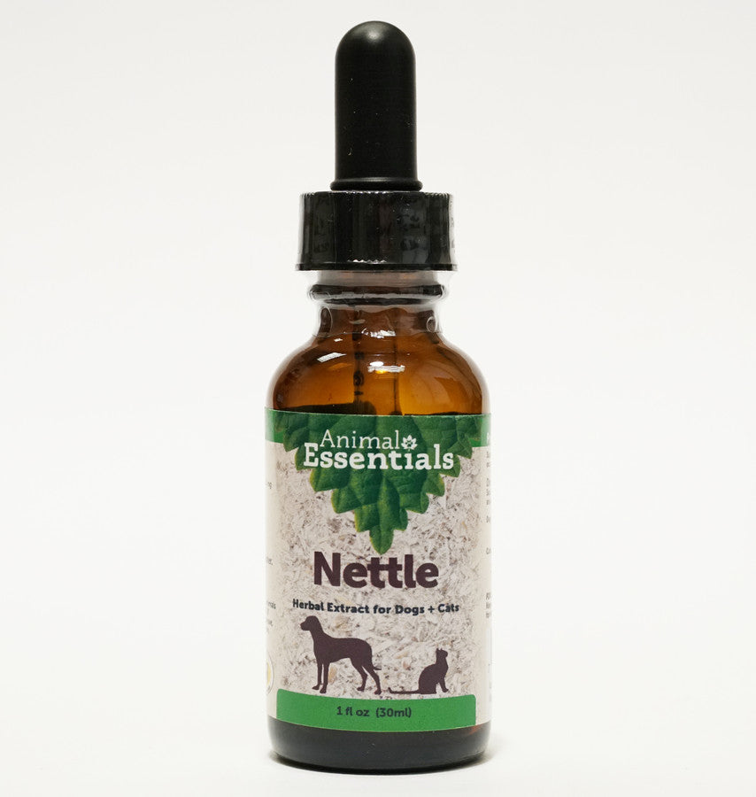 Nettle