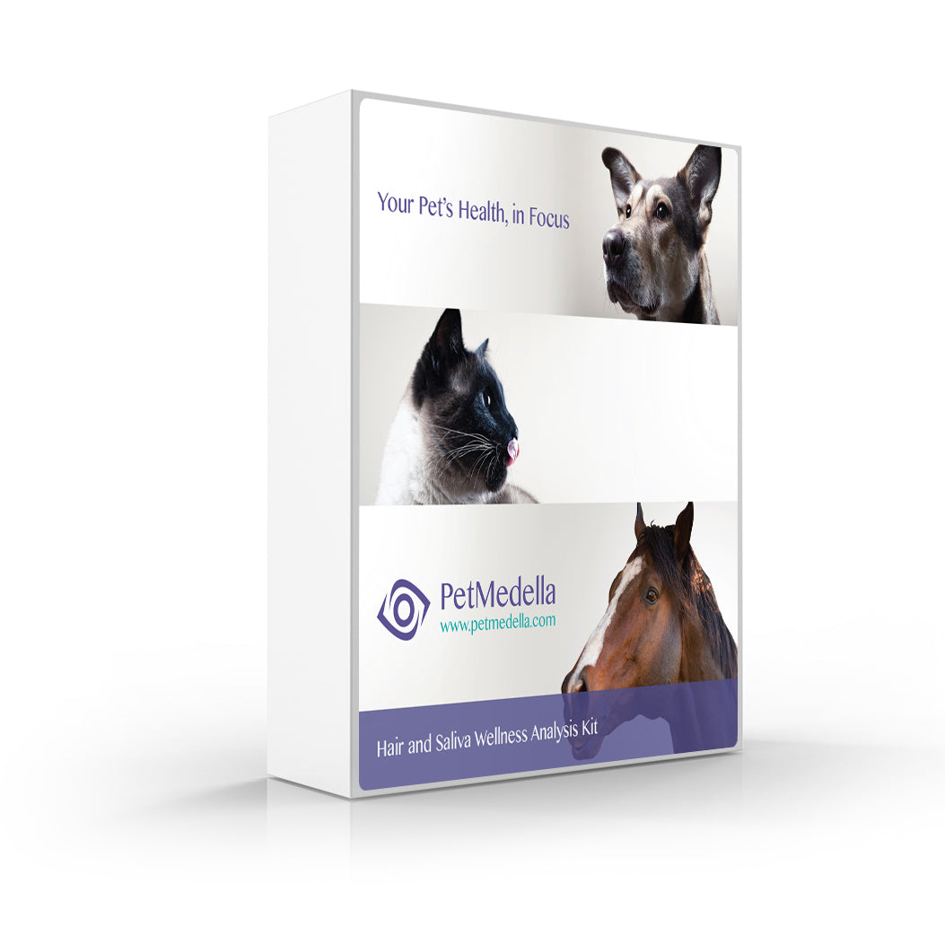 Remedy Scan For Pets