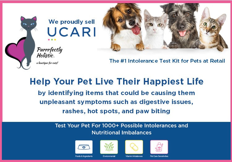 Intolerance Testing Kit For Pets