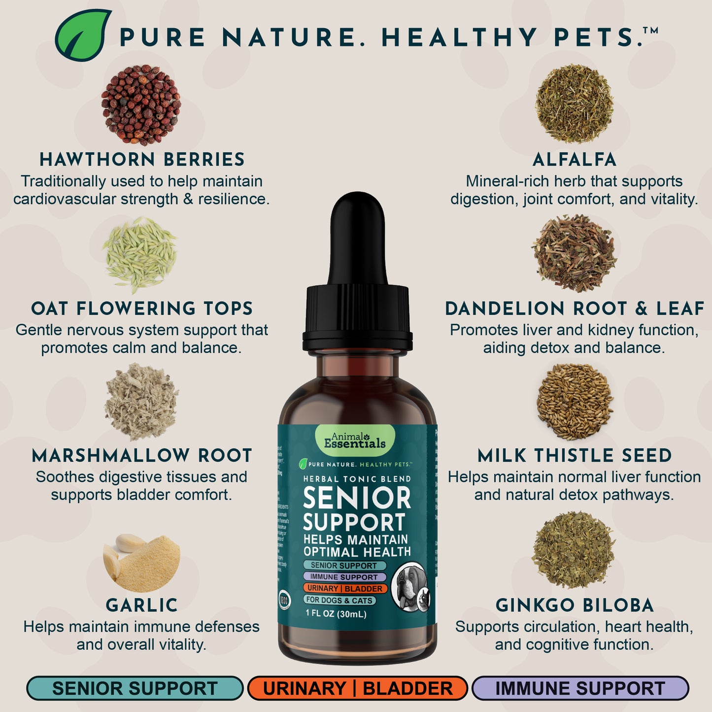 Senior Support