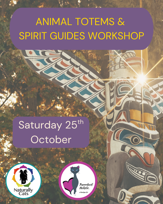 Animal Totems and Spirit Guides Masterclass