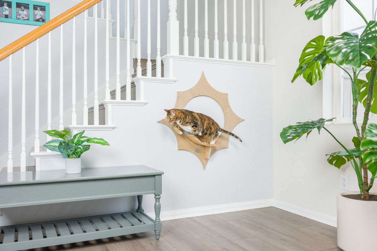 Sun Shape Cat Wall Shelf