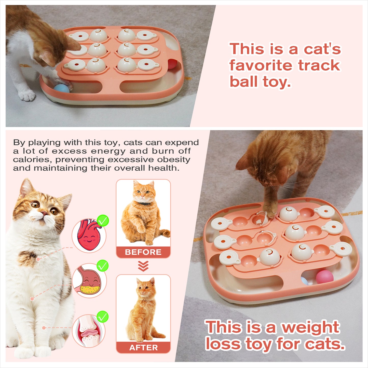 Treasure Chest Puzzle Toy
