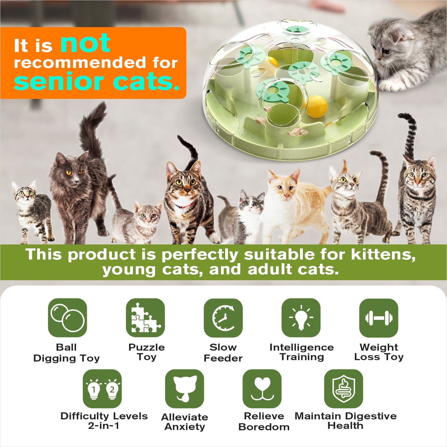 Cat Puzzle Orb Toy Level 3 In 1