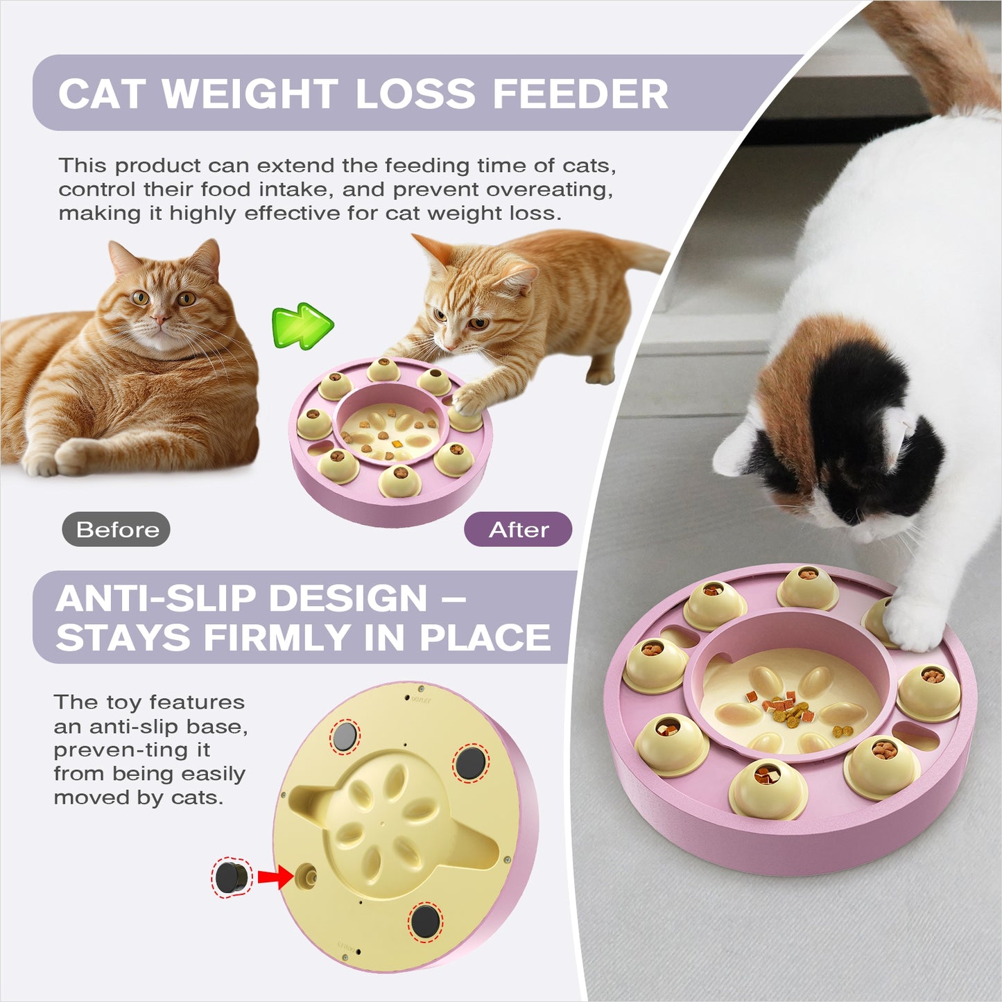 Cat Wheel Puzzle Toy
