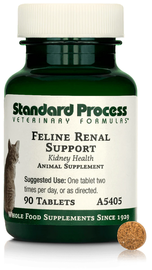 Feline Renal Support