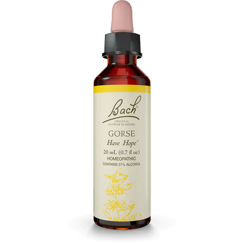 Bach Flower Remedy:  Gorse 20ml