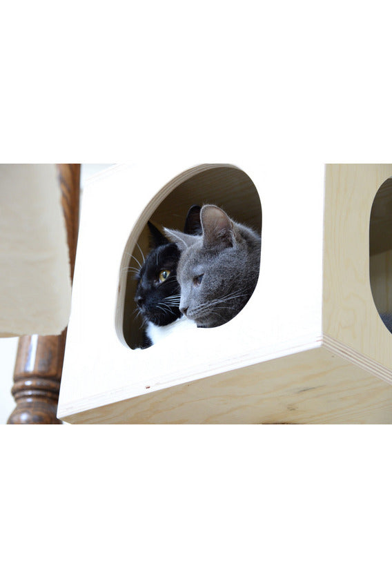 Premium Cat Tree PH-S8902