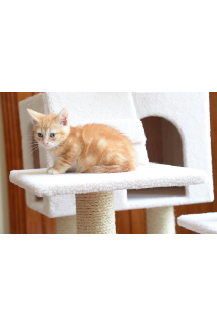 Classic Cat Tree B7701