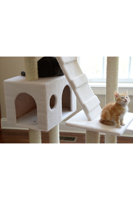 Classic Cat Tree B7701