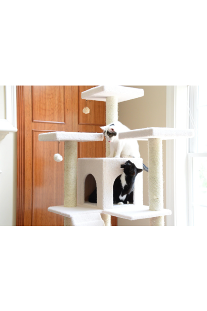 Classic Cat Tree B7701