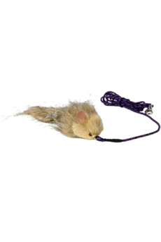 Wily Mouse Attachment