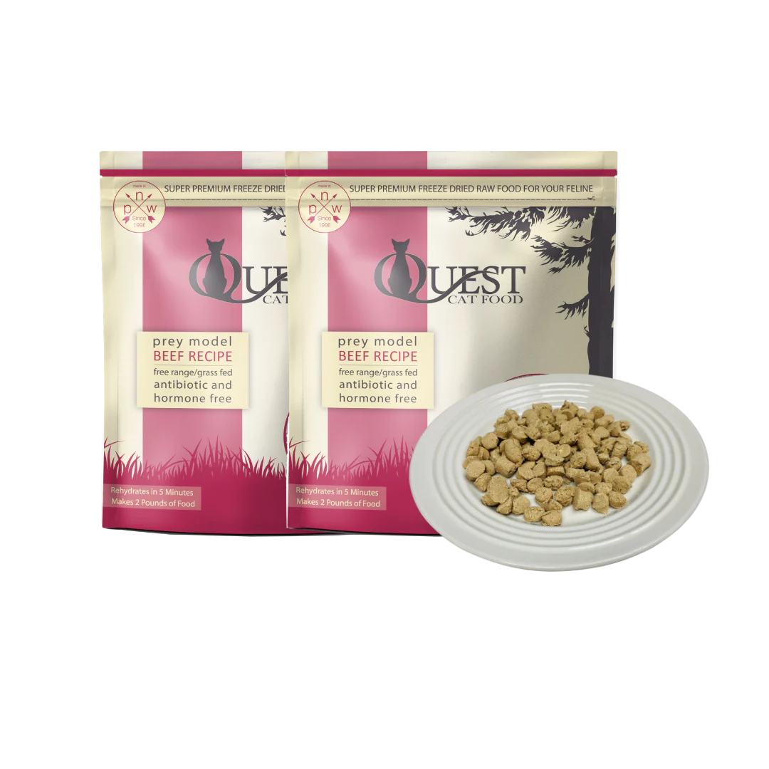 freeze-dried-cat-food