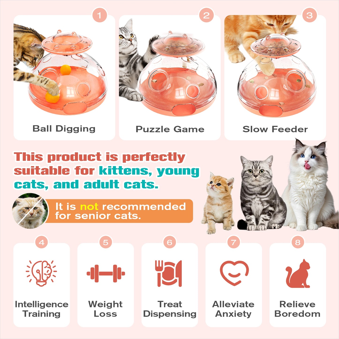 2 Ways To Play Cat Puzzle Toy