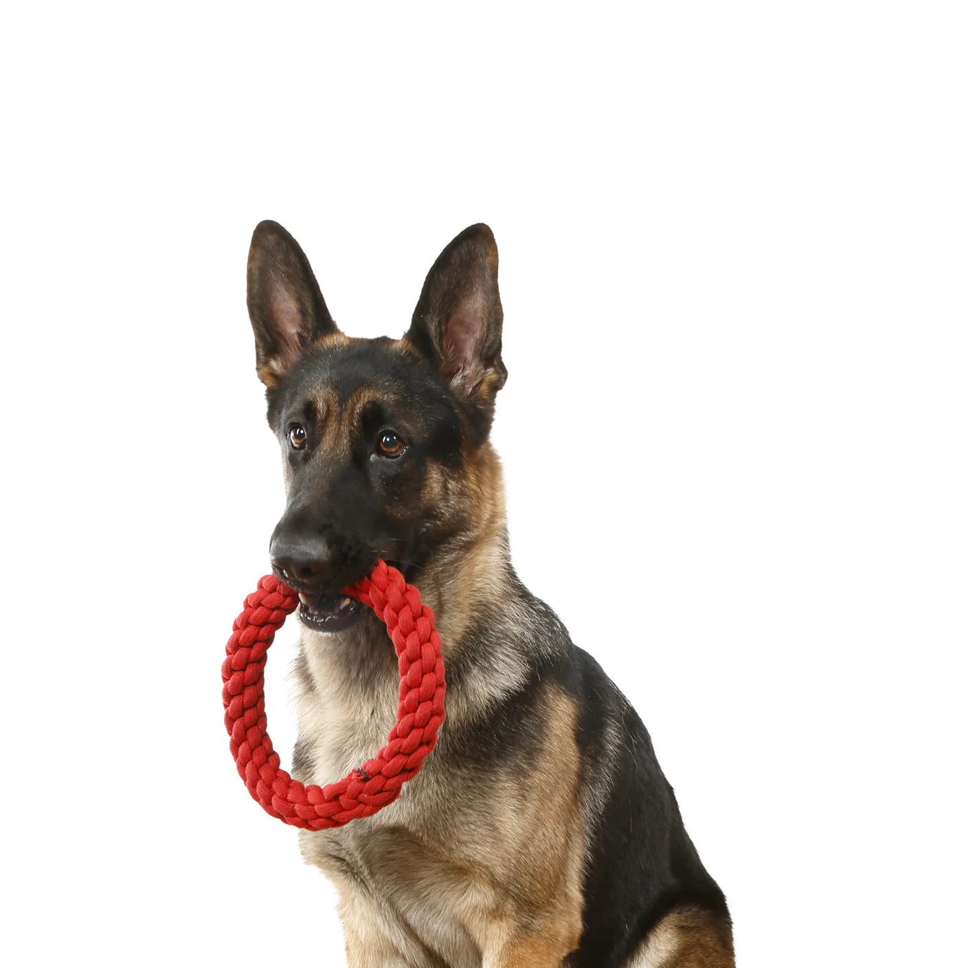 Tug N Toss Rope (Wholesale)