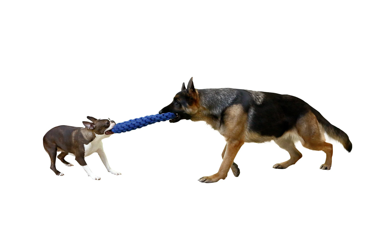 Tug N Toss Rope (Wholesale)