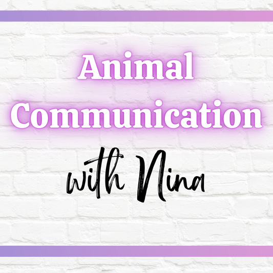 Animal Communication with Nina