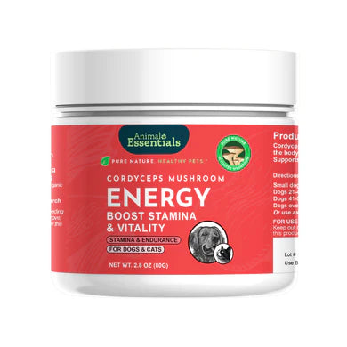 Energy Cordyceps Mushroom
