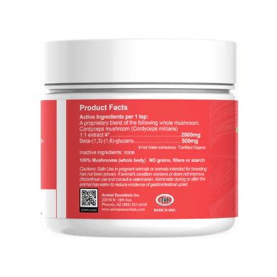 Energy Cordyceps Mushroom