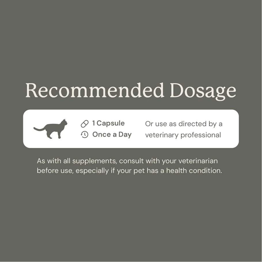 Gut Maintain For Cats