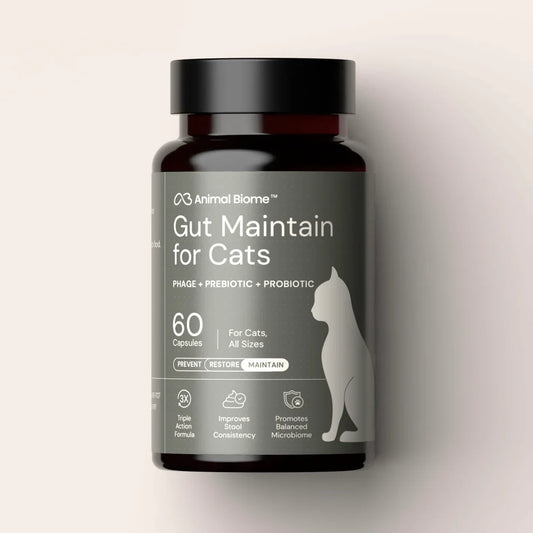 Gut Maintain For Cats