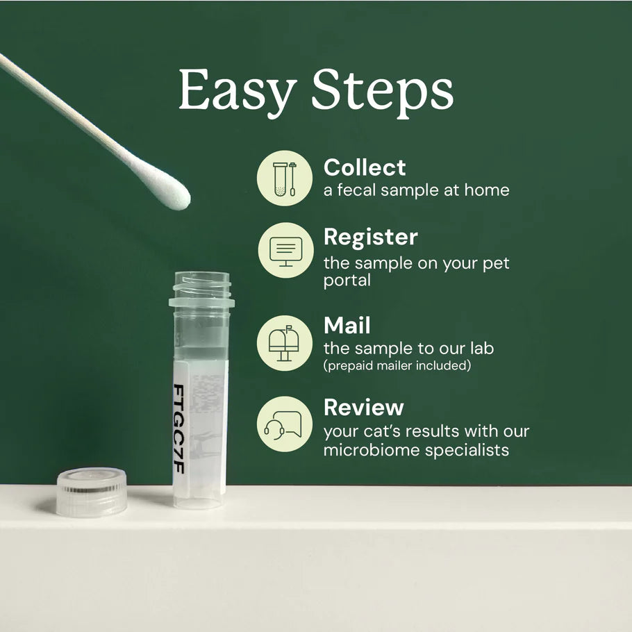 Gut Microbiome Test For Cats