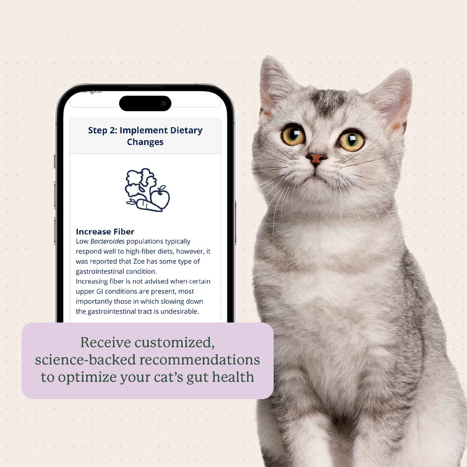 Gut Microbiome Test For Cats