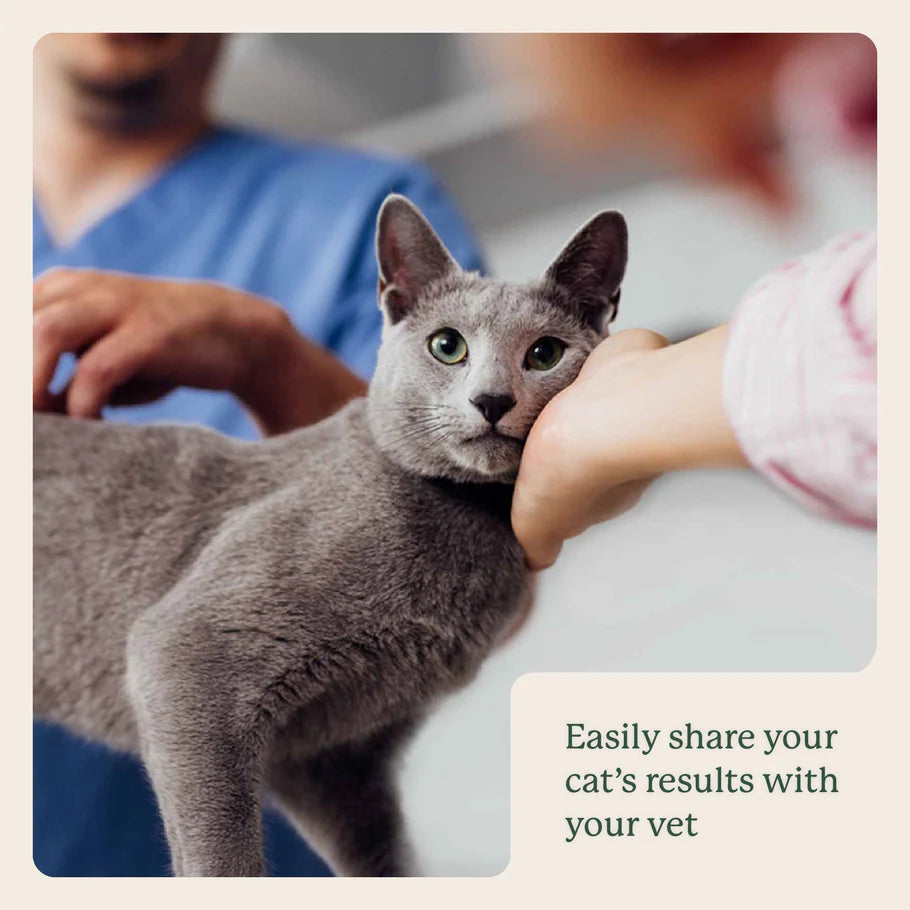 Gut Microbiome Test For Cats