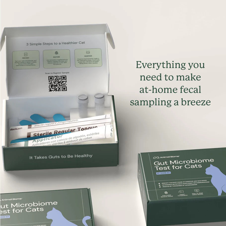 Gut Microbiome Test For Cats