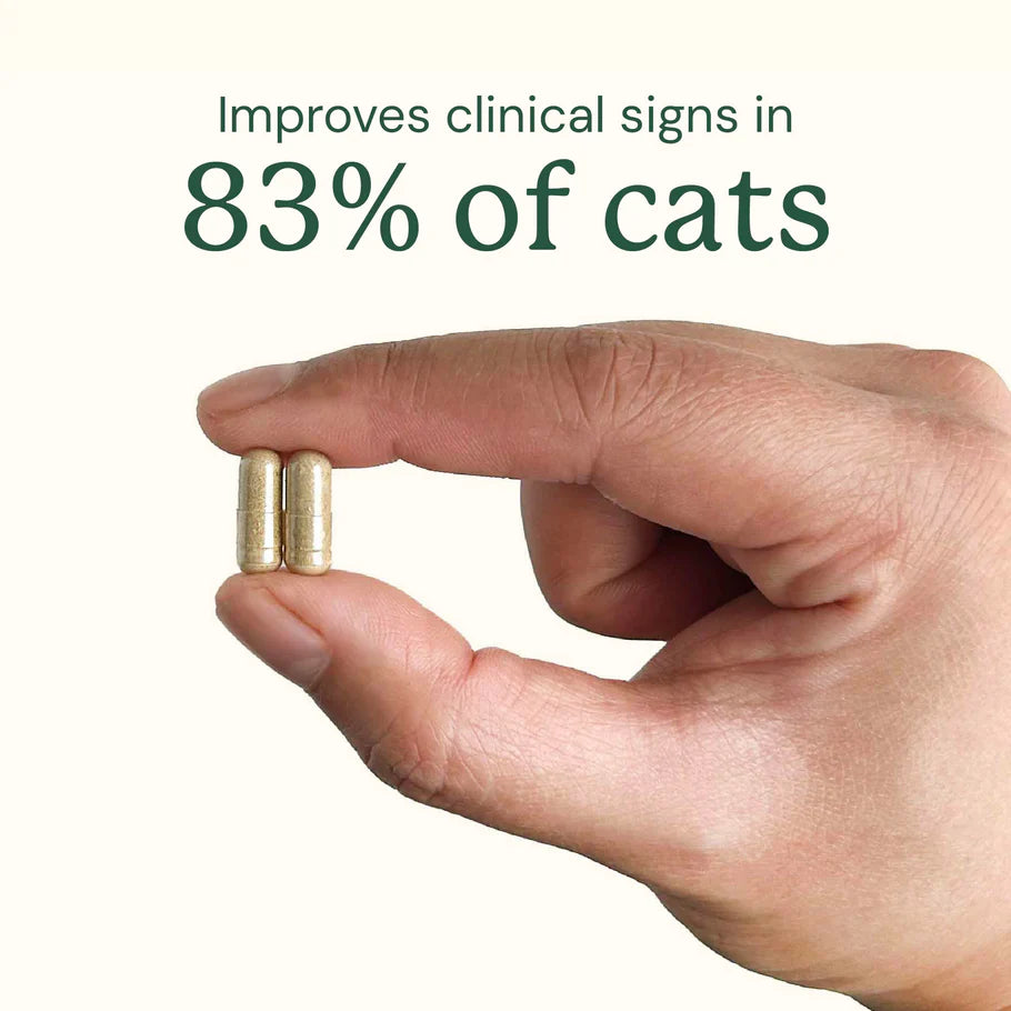 Gut Restore For Cats