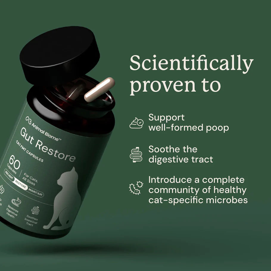 Gut Restore For Cats