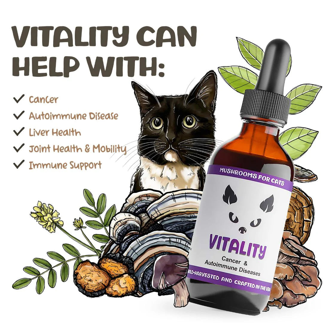 MycoCat Vitality