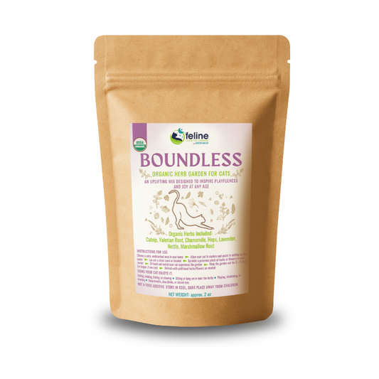Boundless Organic Herb Garden