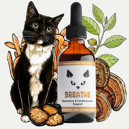 MycoCat Breathe