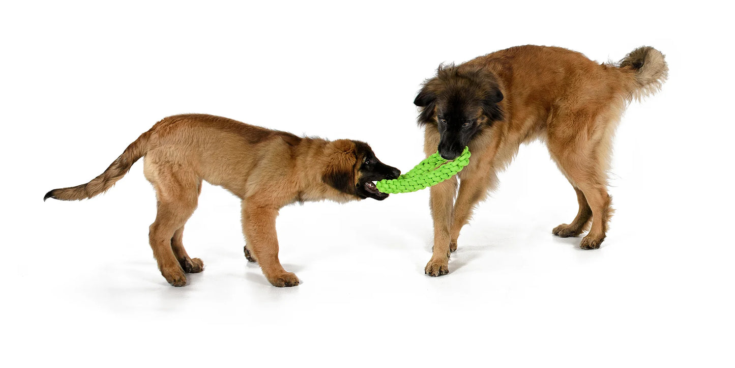 Tug N Toss Rope (Wholesale)