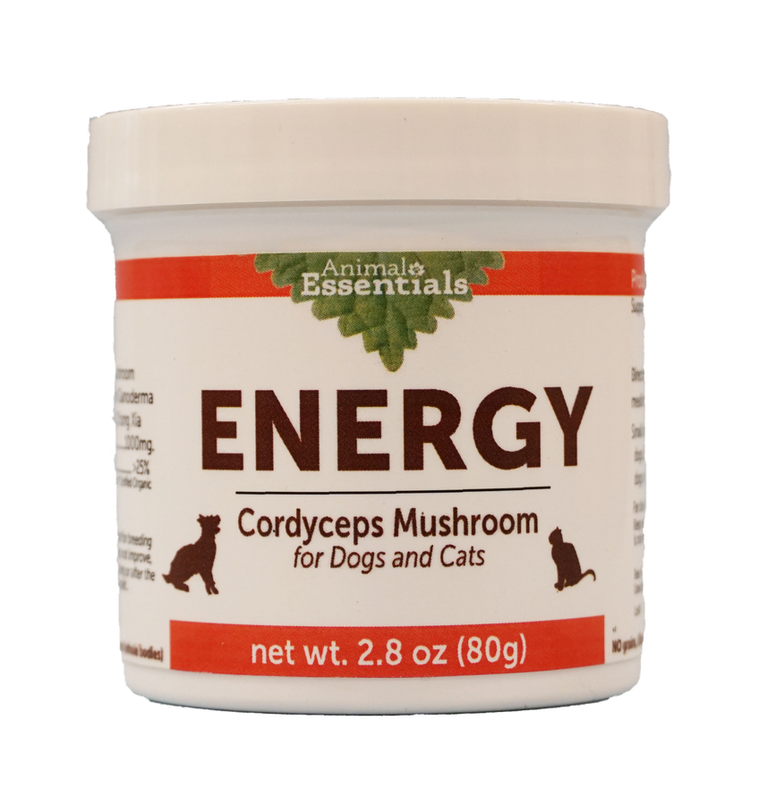 Energy Cordyceps Mushroom