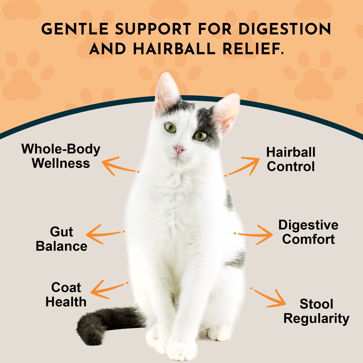 Hairball Relief Formula