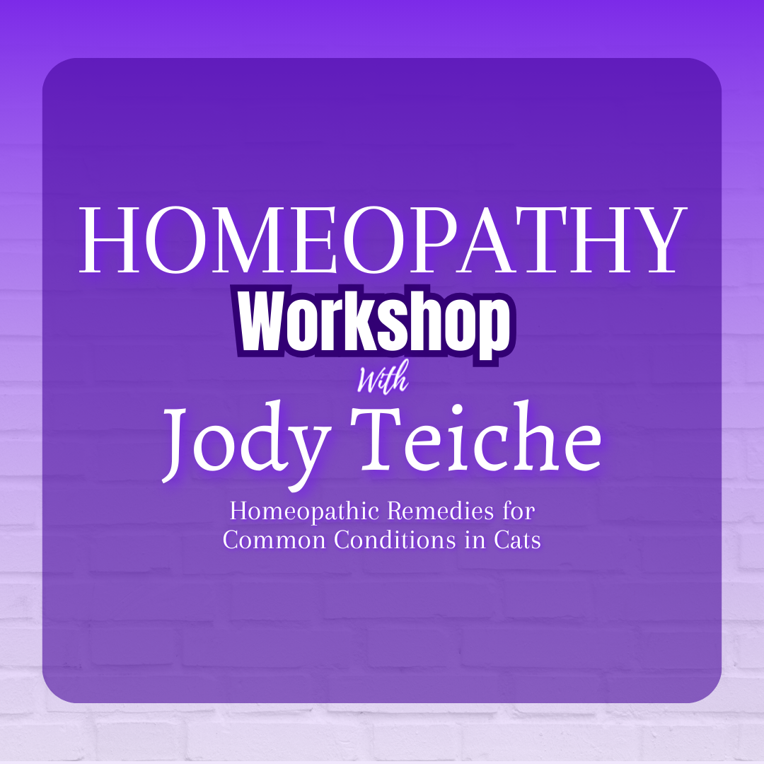 Homeopathy for Cats Workshop with Jody Teiche