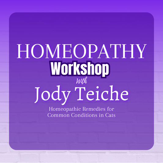 Homeopathy for Cats Workshop with Jody Teiche