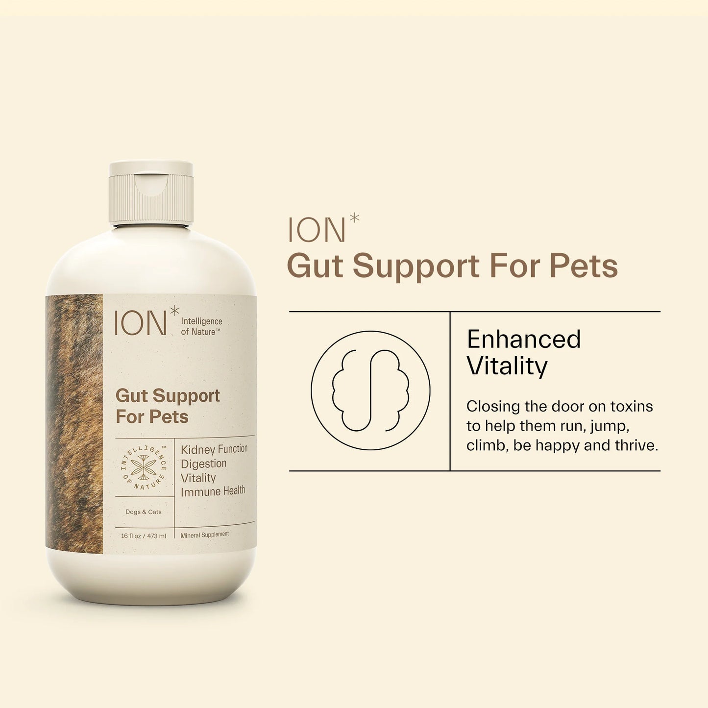 Ion Gut Support For Pets