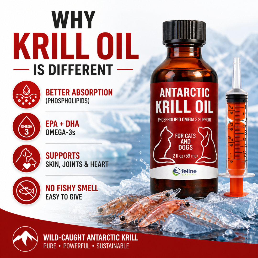 Antarctic Krill